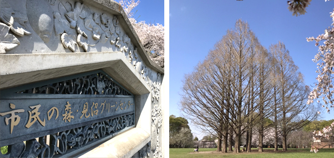 桜を楽しむ会